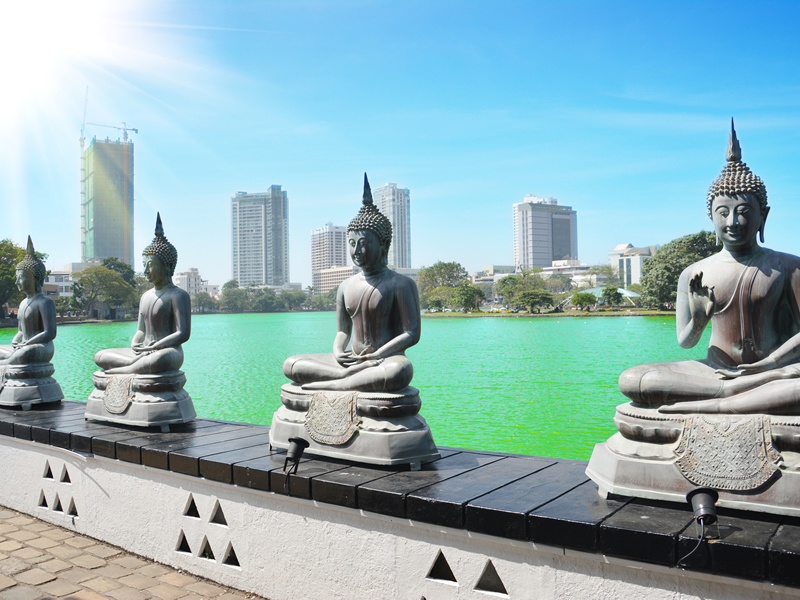 Srilanka colombo şehrinde budist heykeller